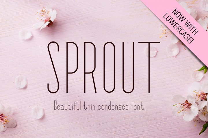Sprout Font by Corgi Astrounaut