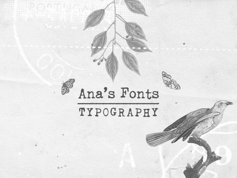 Font Designer of The Week: Ana’s Fonts | TheHungryJPEG