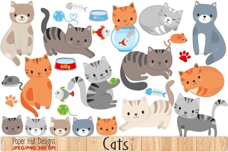 Happy National Cat Day | 7 Best Cat Designs For You
