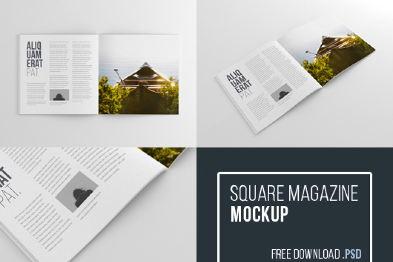 Growing Businesses With 16 FREE Mockups From THJ